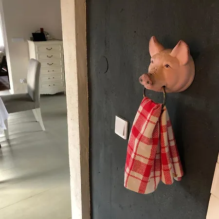 Nyaraló Ukulelehaus Am Nationalpark Unteres Odertal